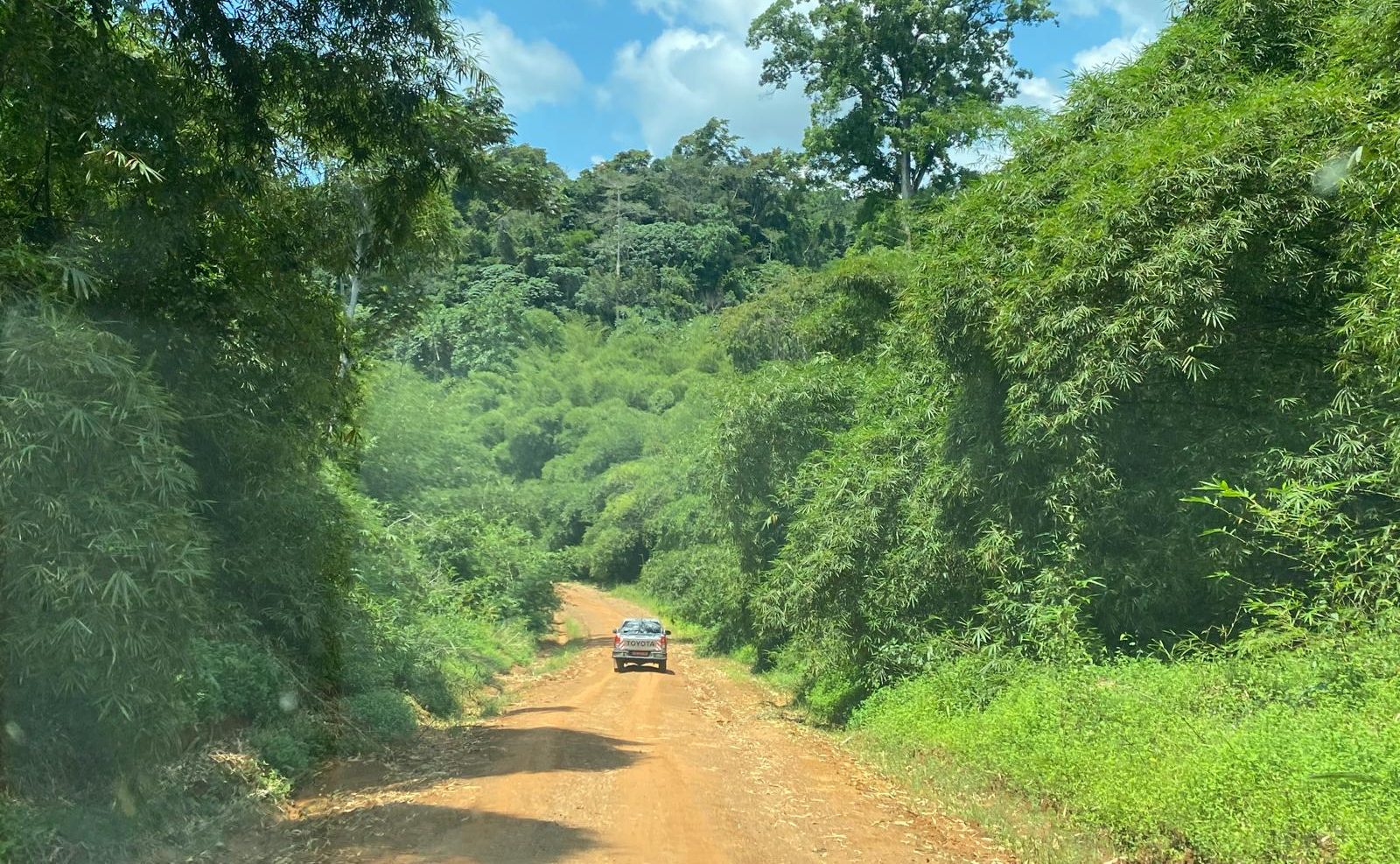 Kribi-Ebolowa Road